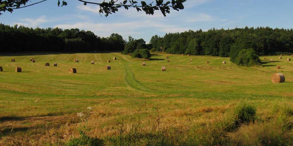 Staatlich anerkannter Erholungsort Grillenberg - Einblick in die Umgebung